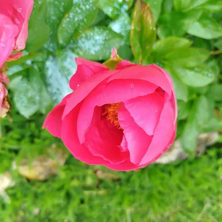 Des Fours Гостевой дом