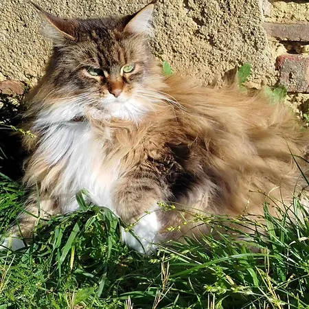 Des Fours Гостевой дом Agonges