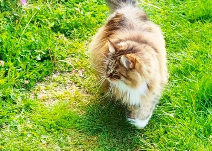 Vendégház Des Fours Agonges